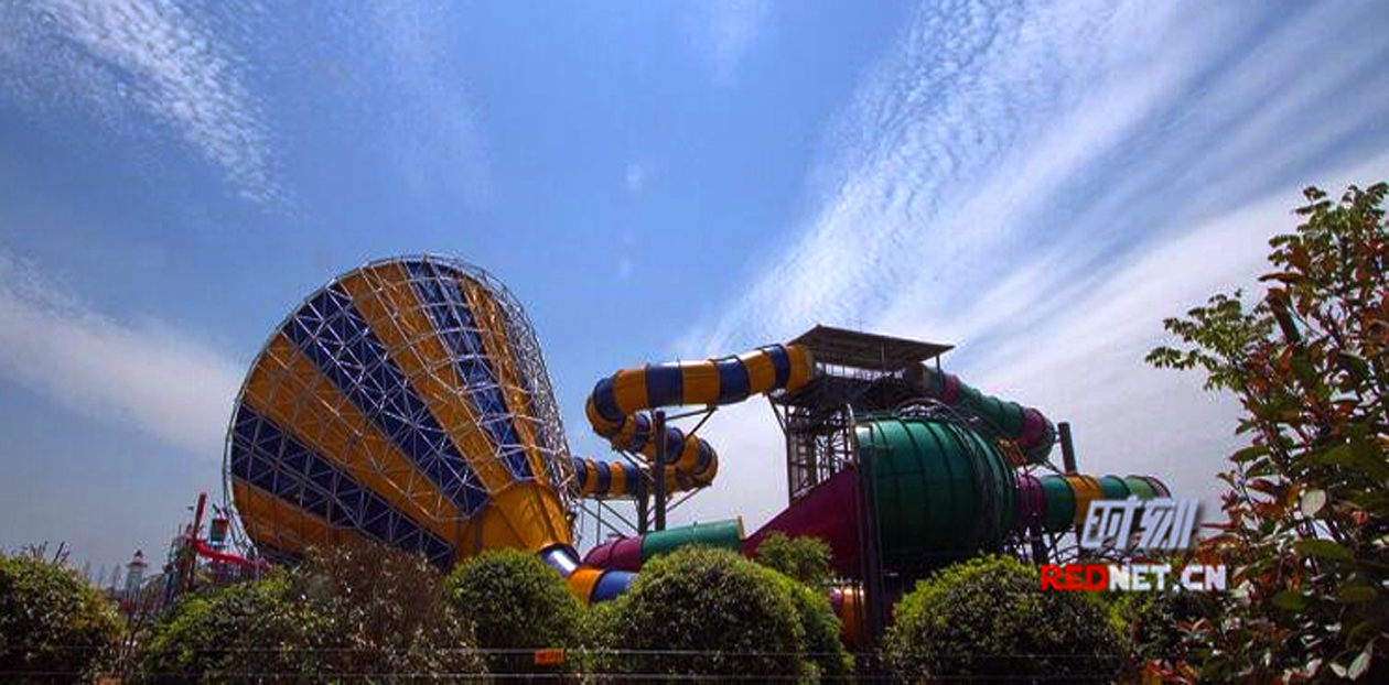 1764301533649016845.jpg 004.jpg